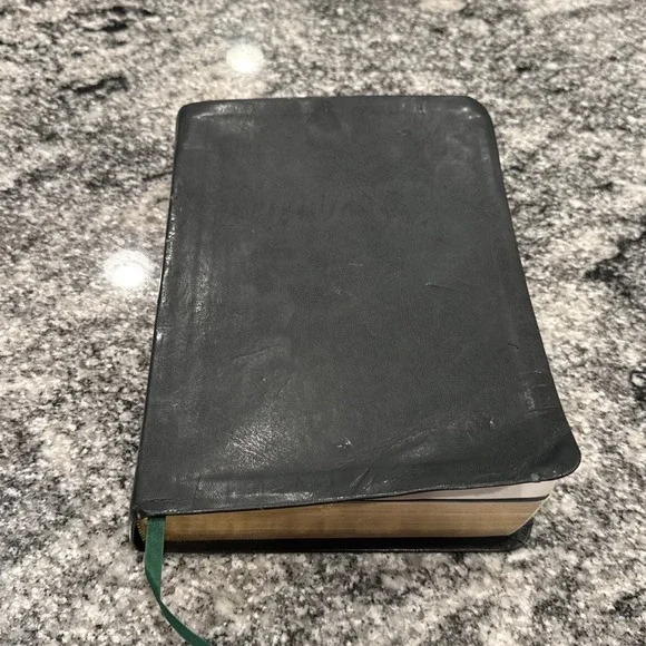 CATHOLIC YOUTH BIBLE--NSRV‎ Catholic Edition-2010 Flexible Leatherette-SUPERB!